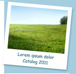 Lorem ipsum dolor  Catalog 2011